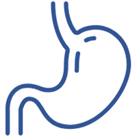 消化器内科 アイコン